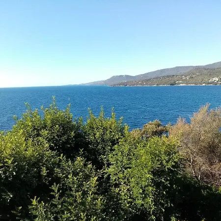 Cours Bonaparte * Sartene (Corsica)