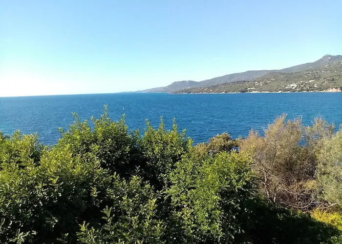 Cours Bonaparte * Sartene (Corsica)